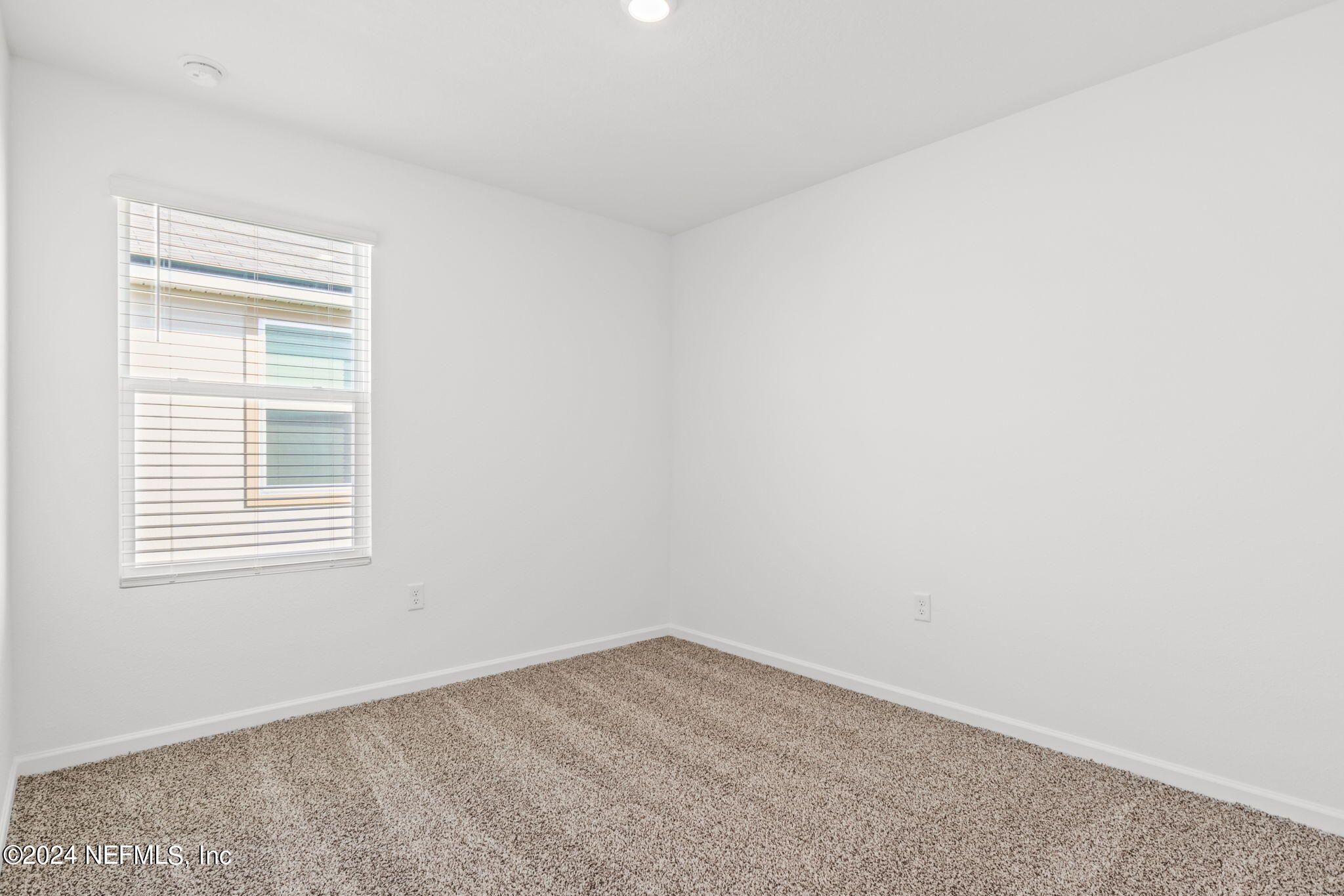 12927 RUBBER FIG Terrace