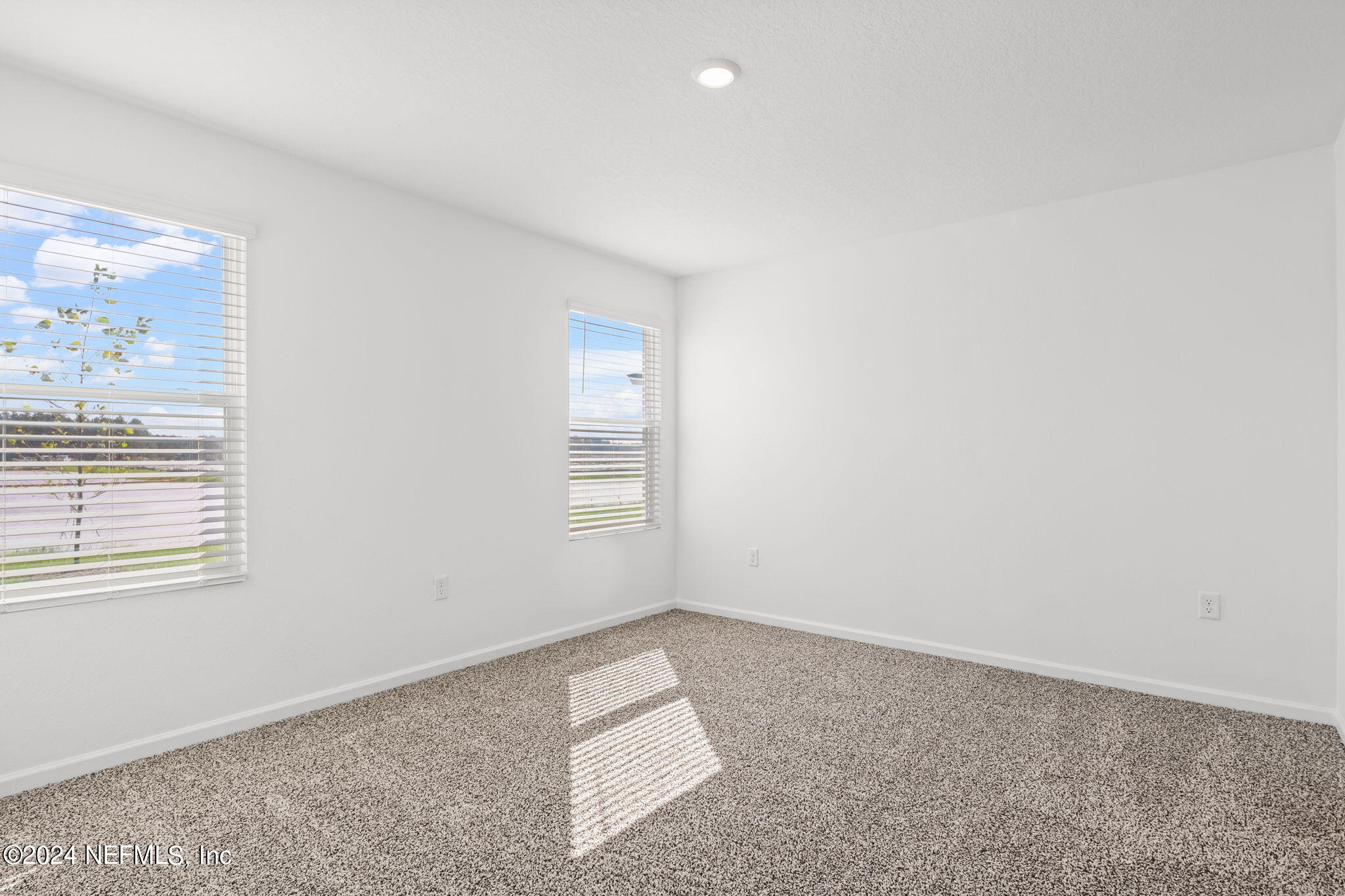 12927 RUBBER FIG Terrace