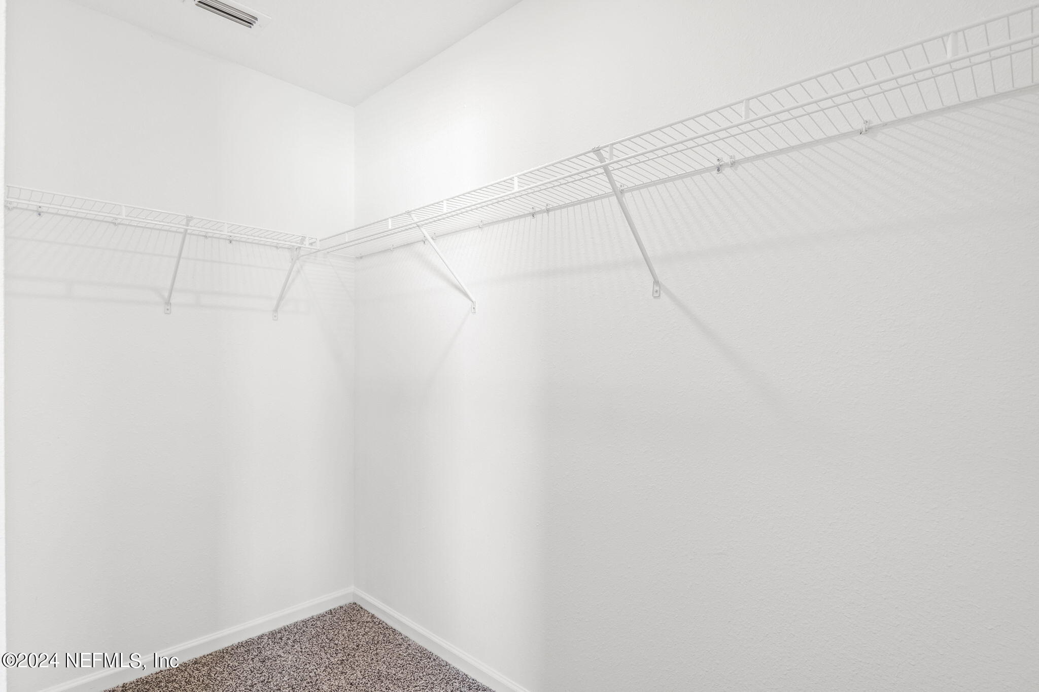 12927 RUBBER FIG Terrace