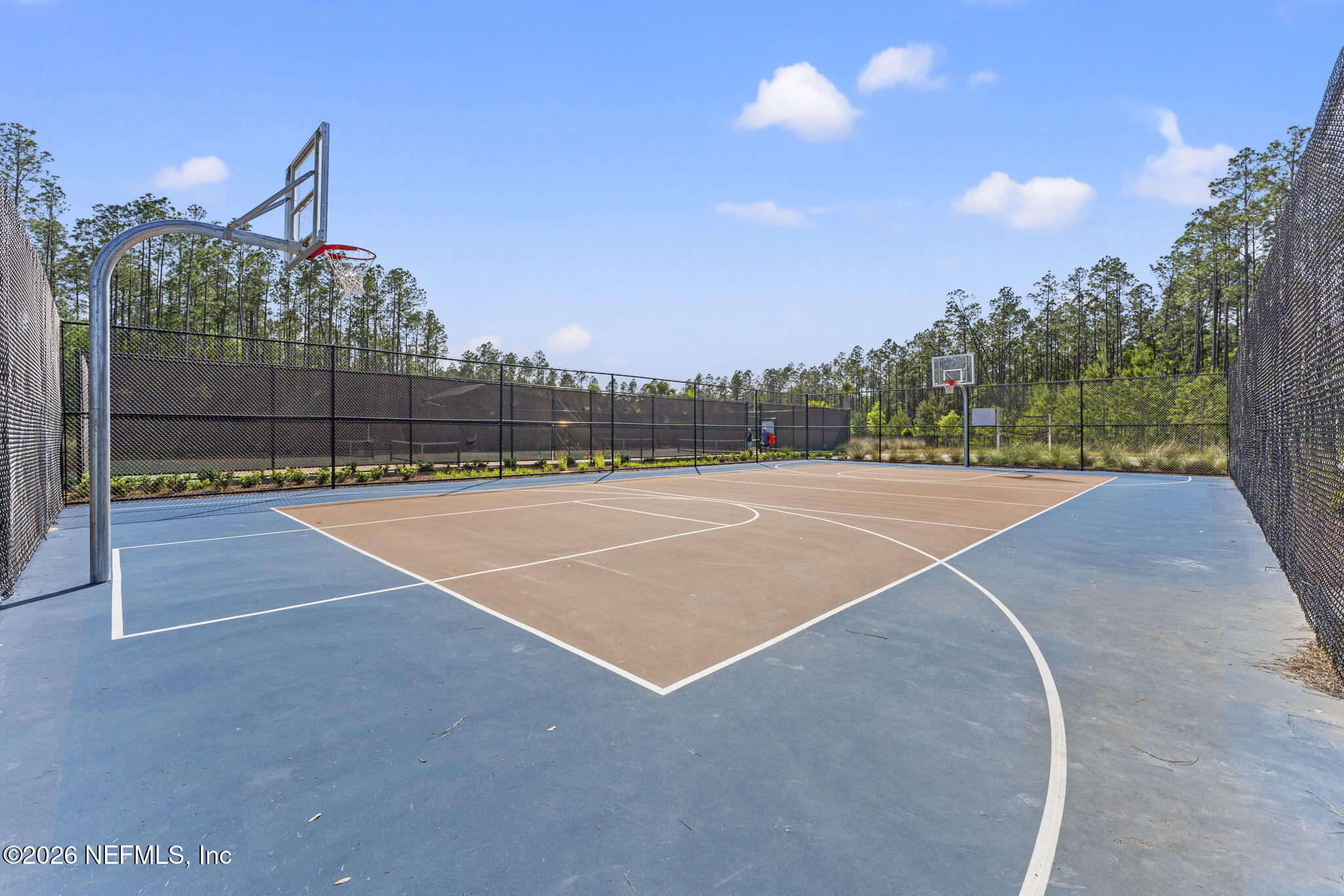 345 MUHLY GRASS Street