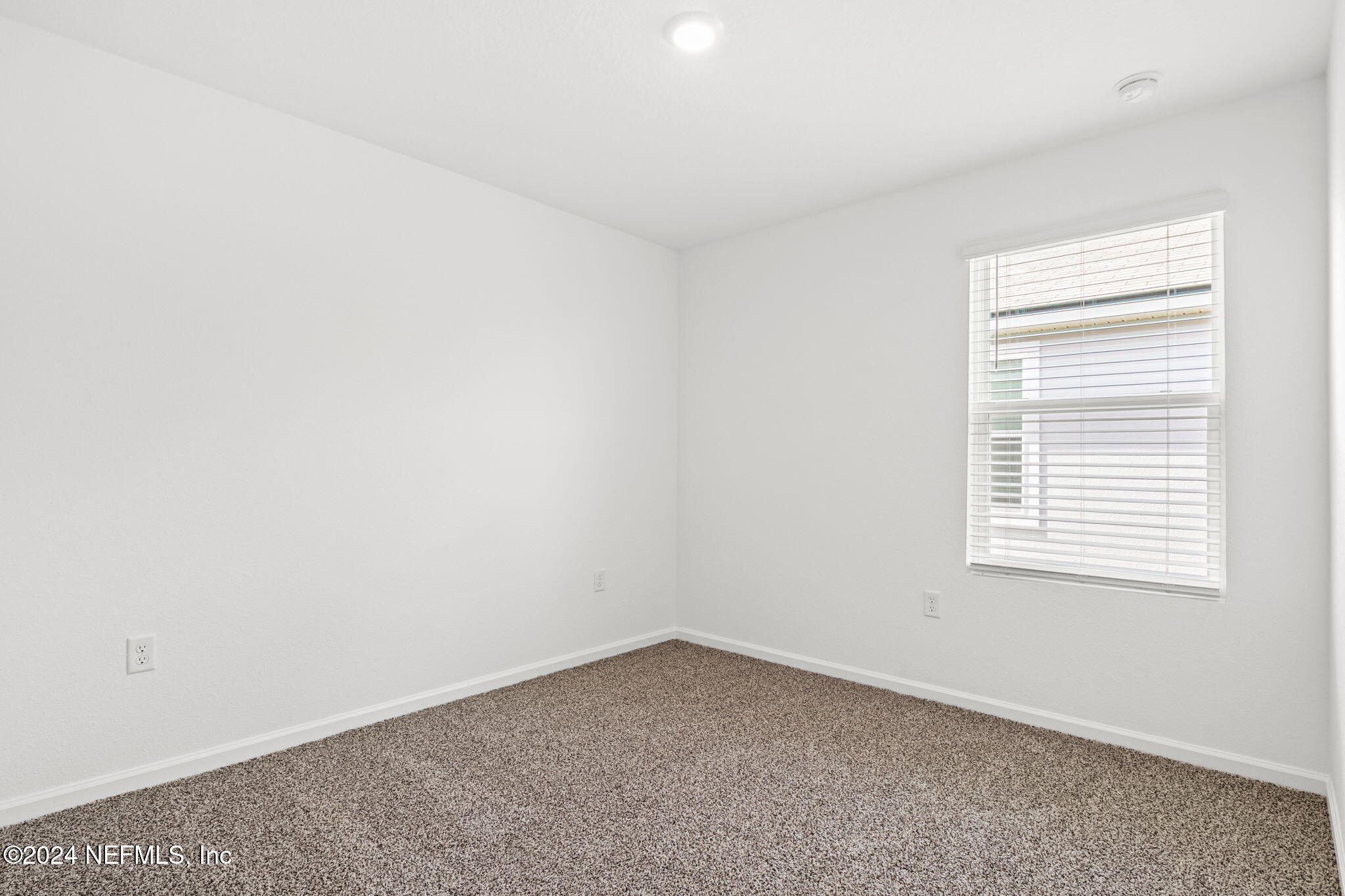 12422 RUBBER FIG Terrace