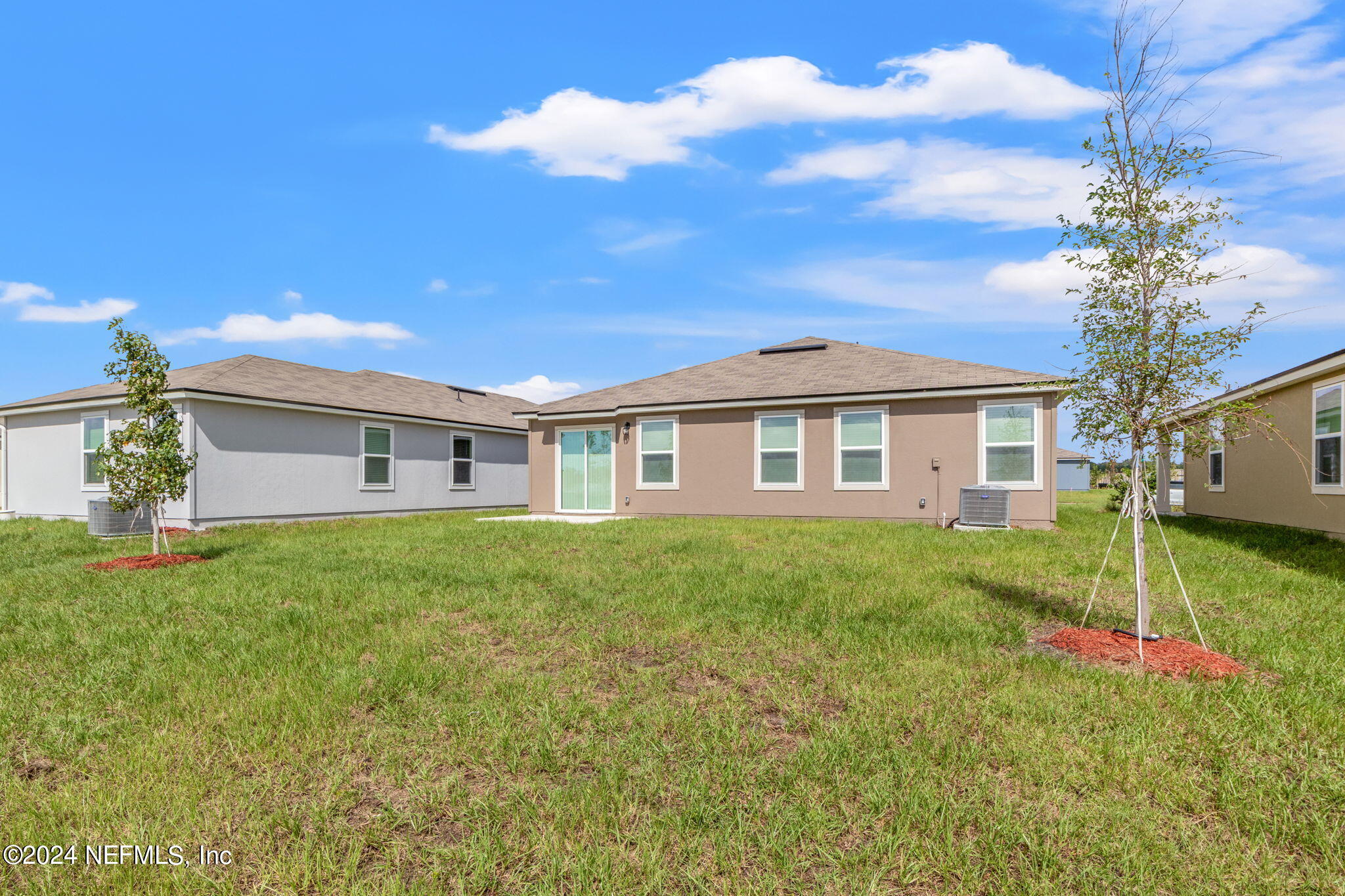 12422 RUBBER FIG Terrace