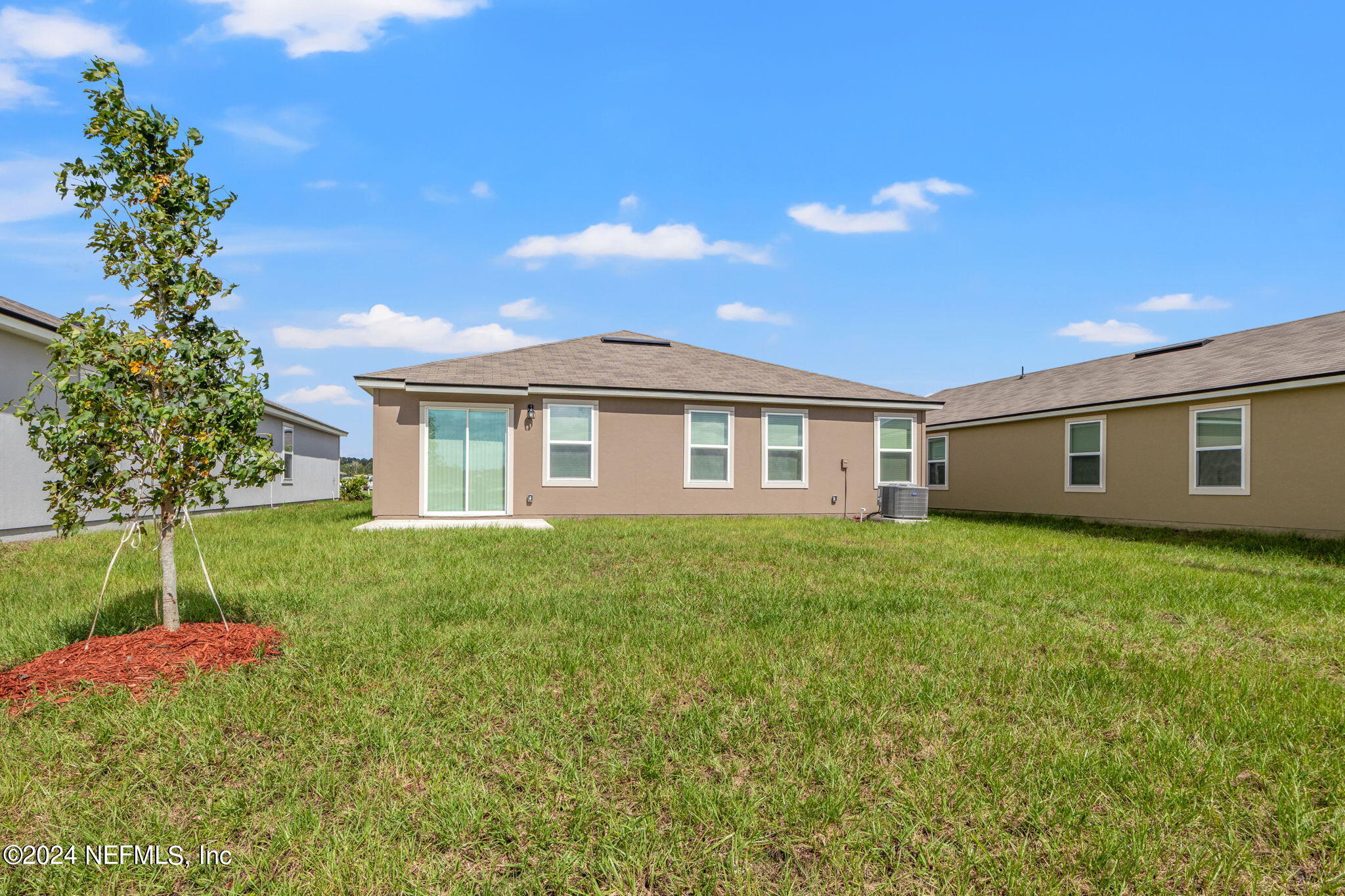 12422 RUBBER FIG Terrace