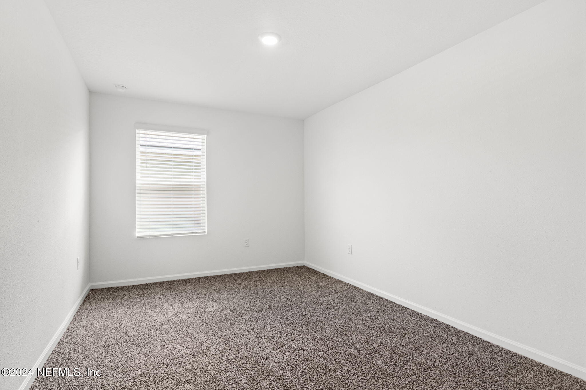 12422 RUBBER FIG Terrace