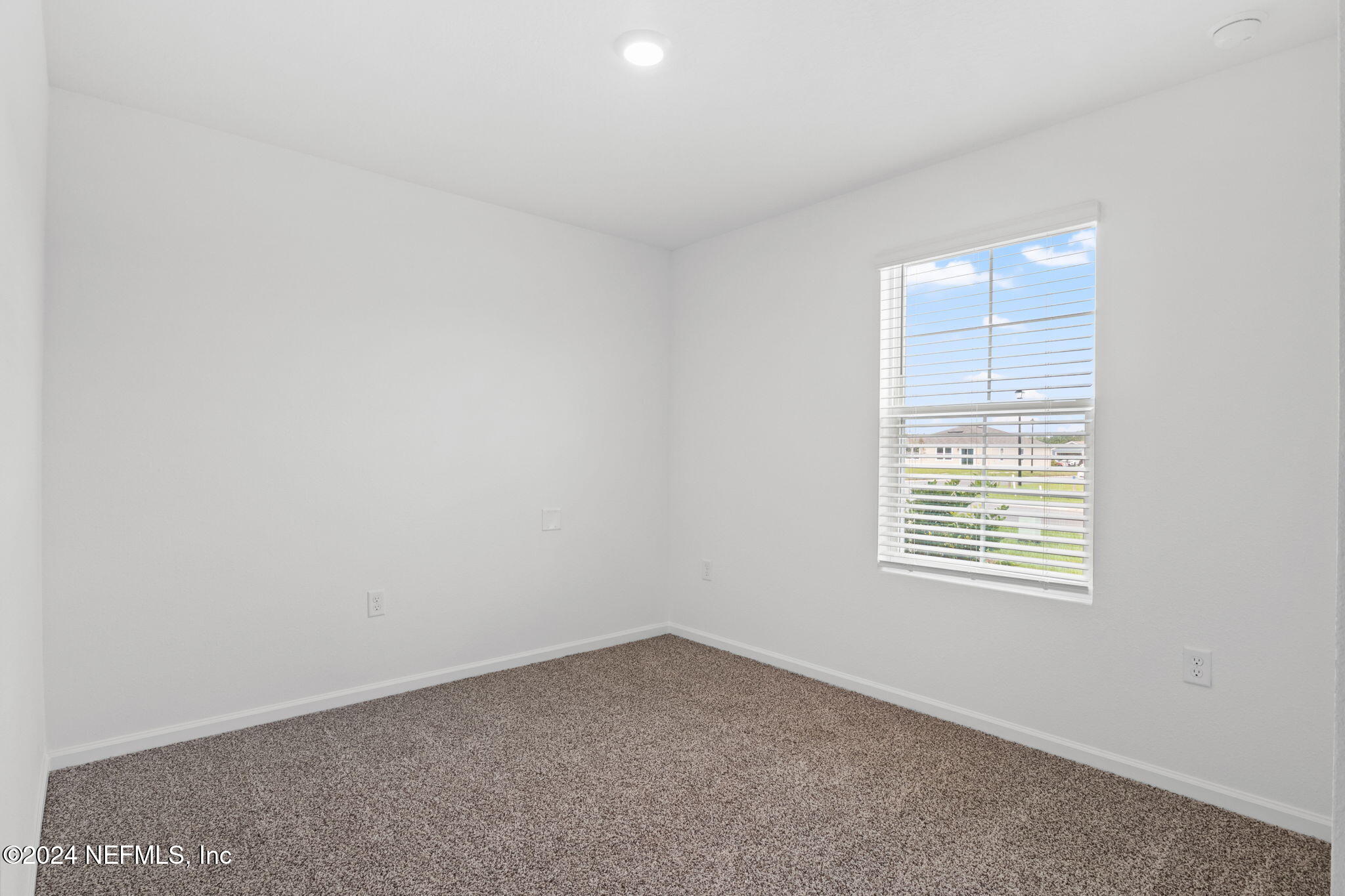 12422 RUBBER FIG Terrace