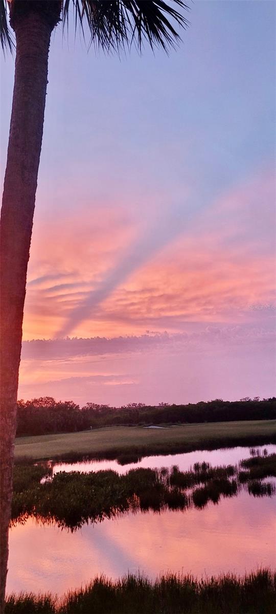 7705 GRAND ESTUARY TRL #204