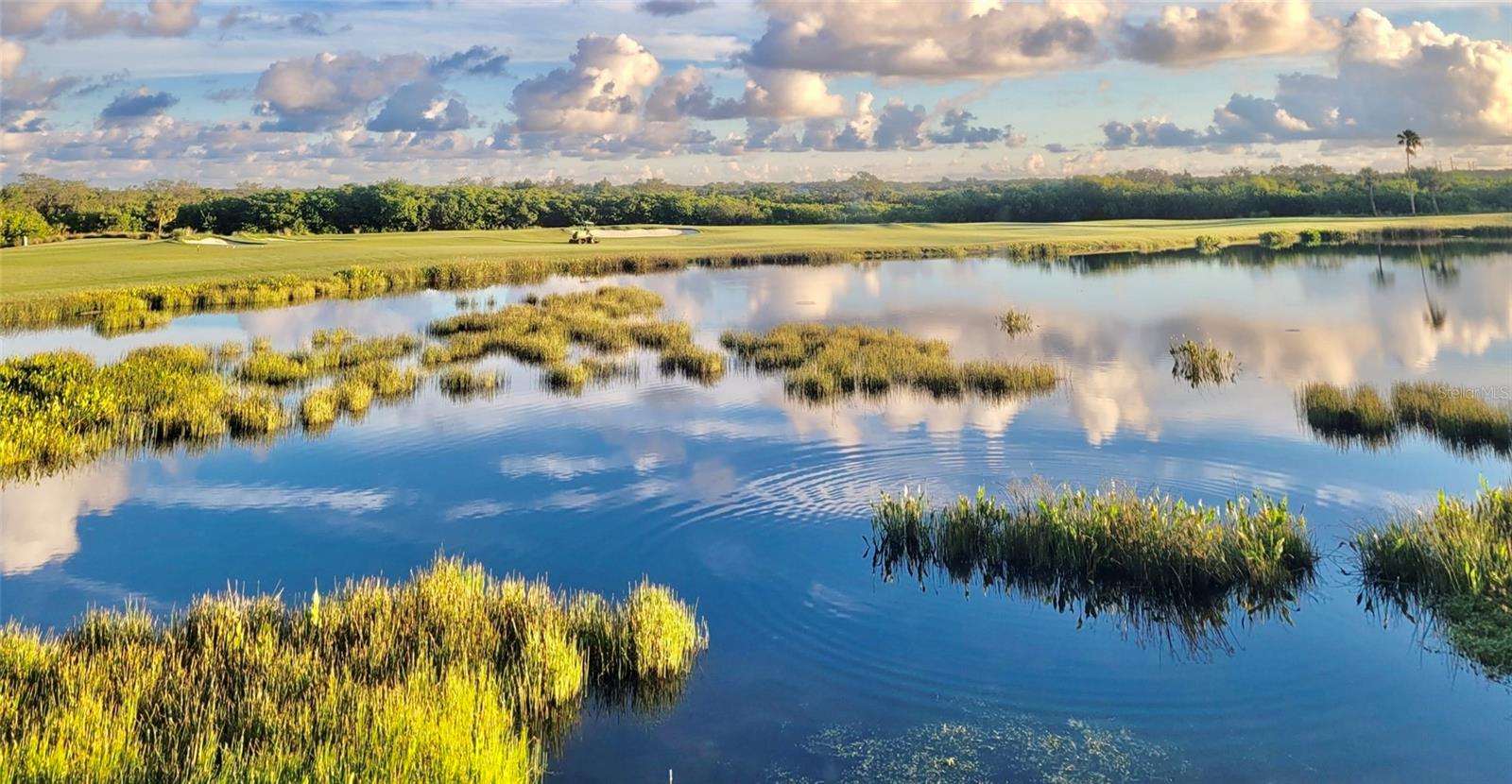 7705 GRAND ESTUARY TRL #204