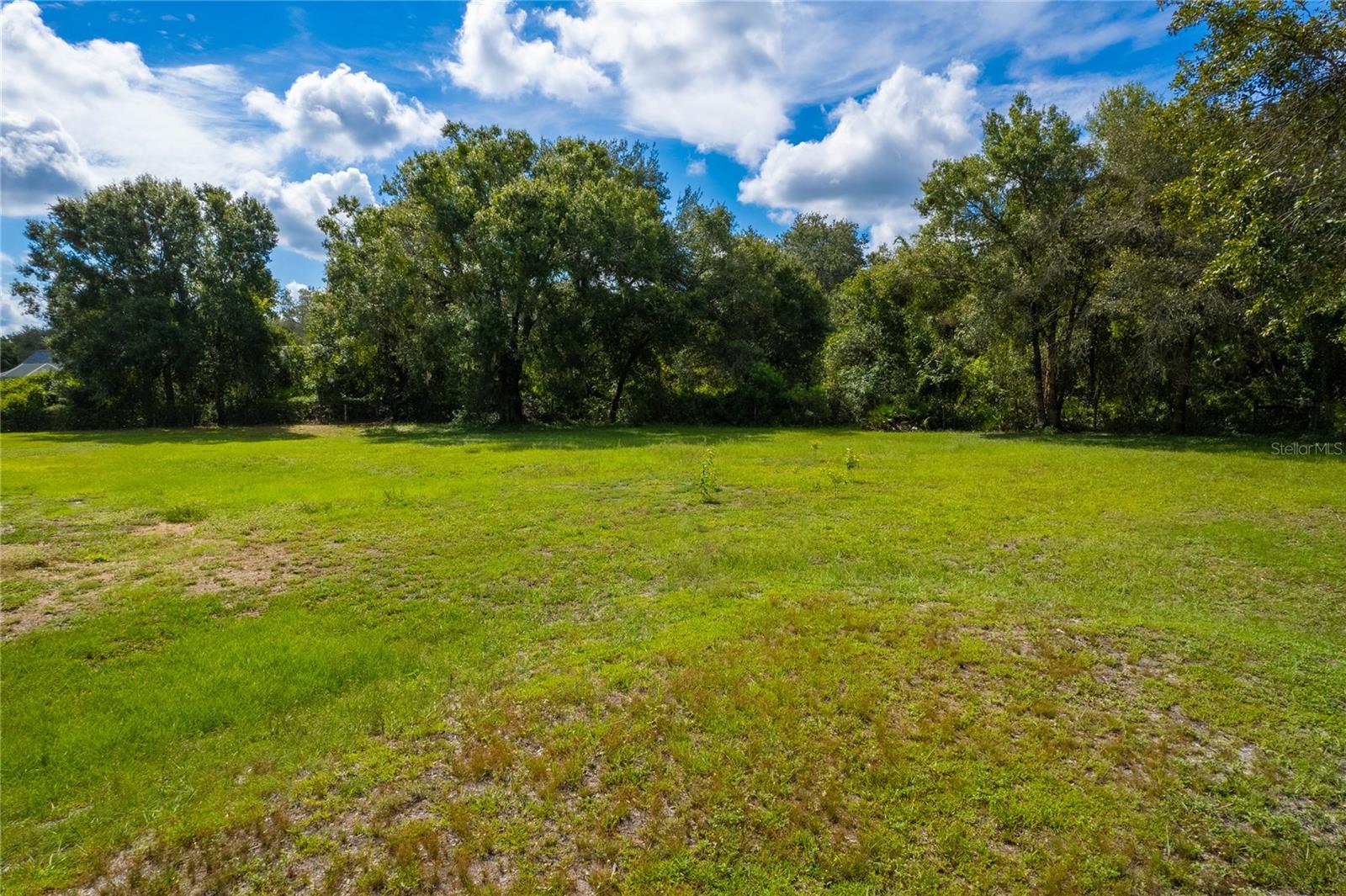 1708 SHENANDOAH RD