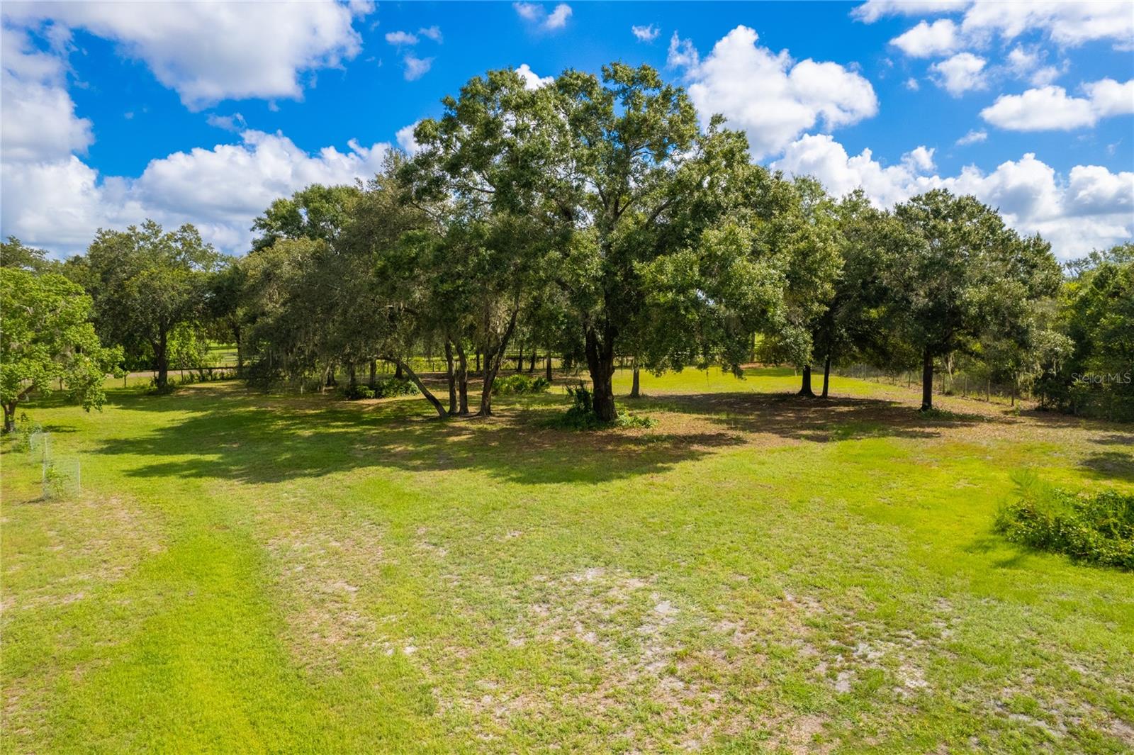 1708 SHENANDOAH RD