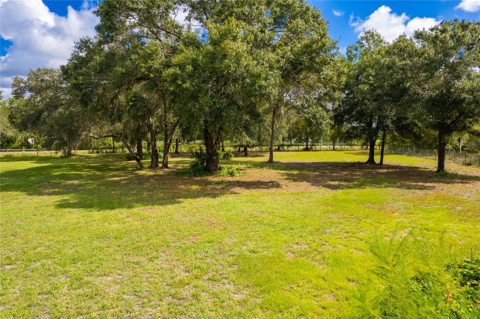 1708 SHENANDOAH RD