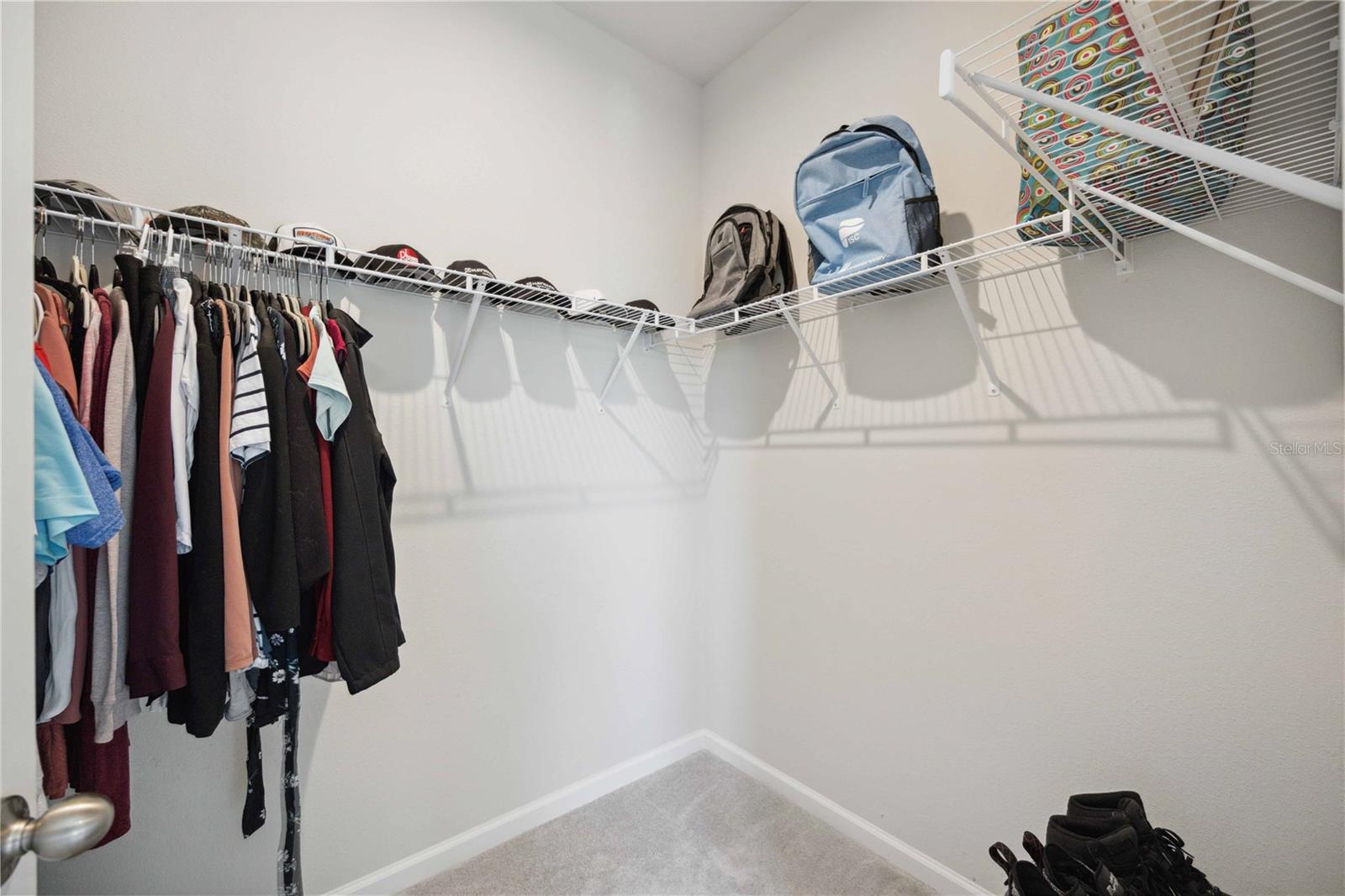 5421 SPANISH MOSS CV