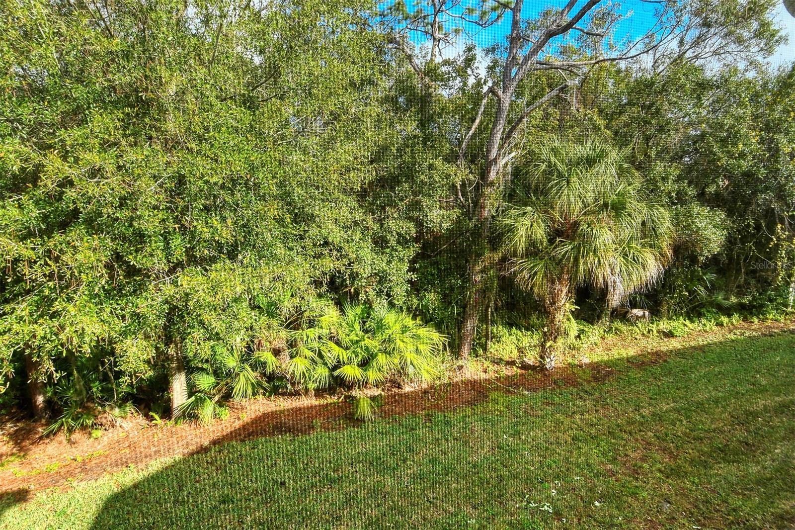 7266 ELEANOR CIR #203