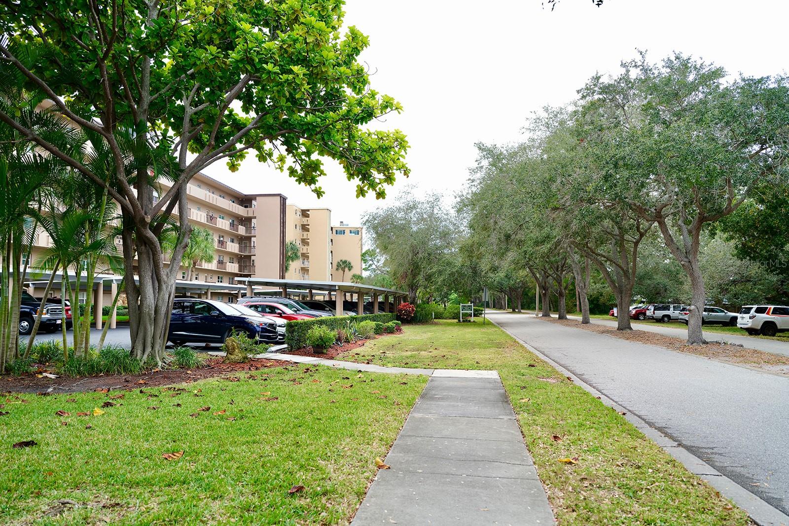 3620 IRONWOOD CIR #205O