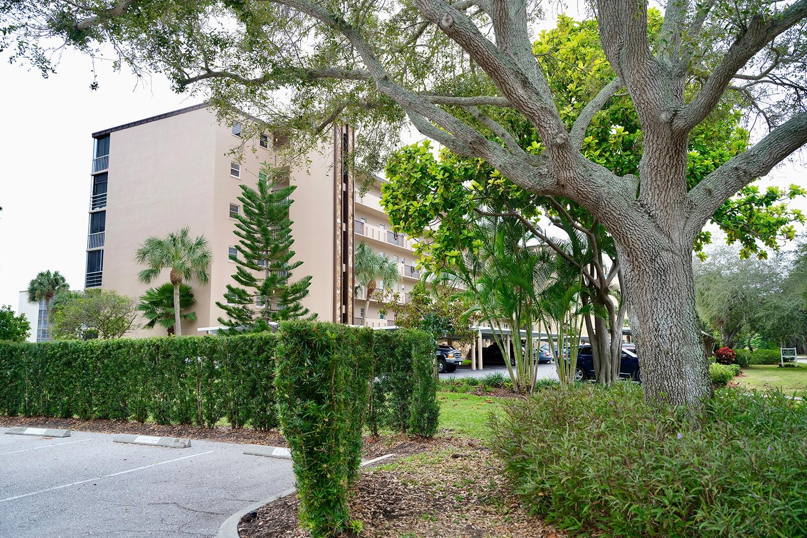 3620 IRONWOOD CIR #205O