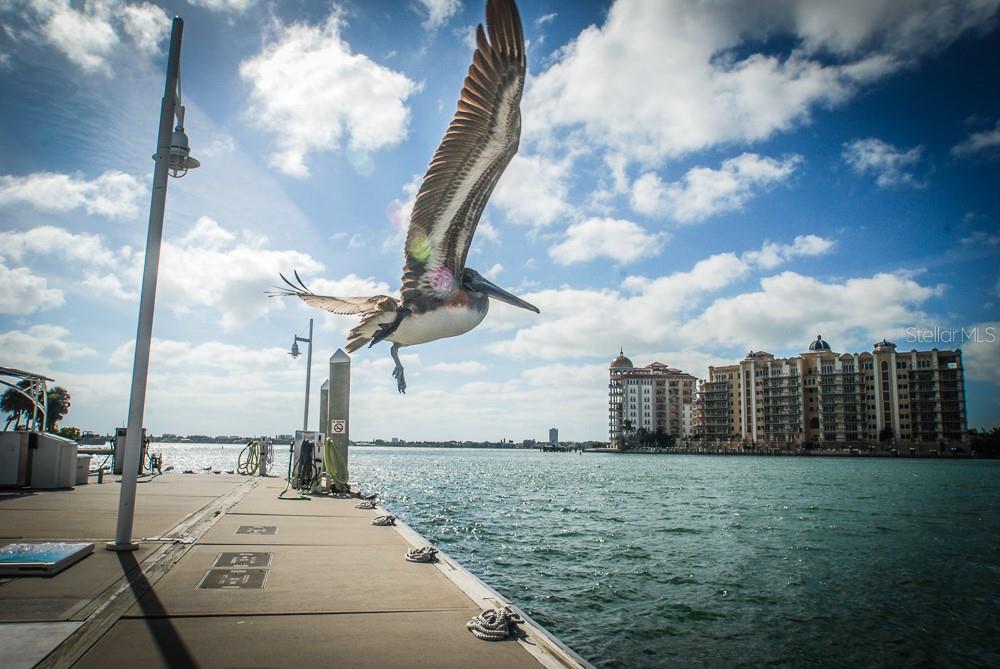 1212 BENJAMIN FRANKLIN DR #308