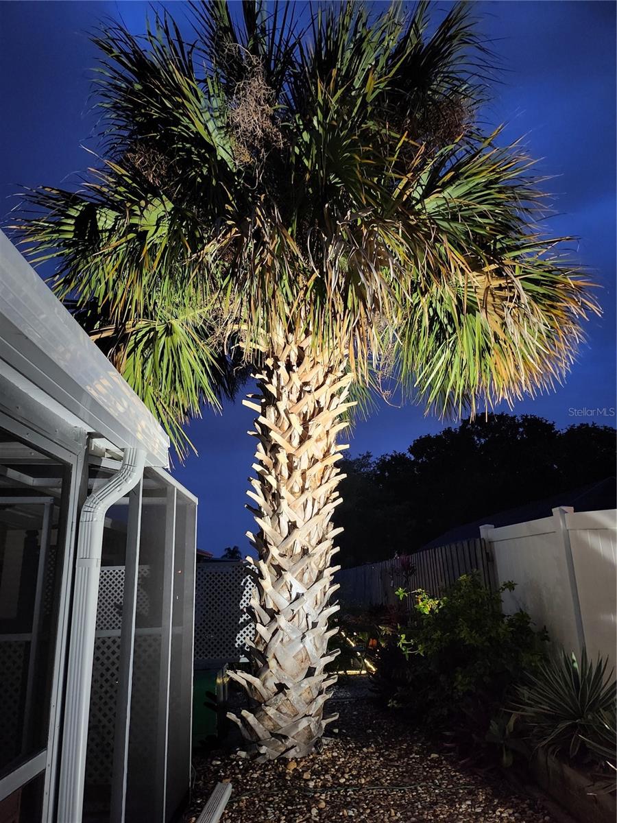 2107 PALMA SOLA BLVD #101