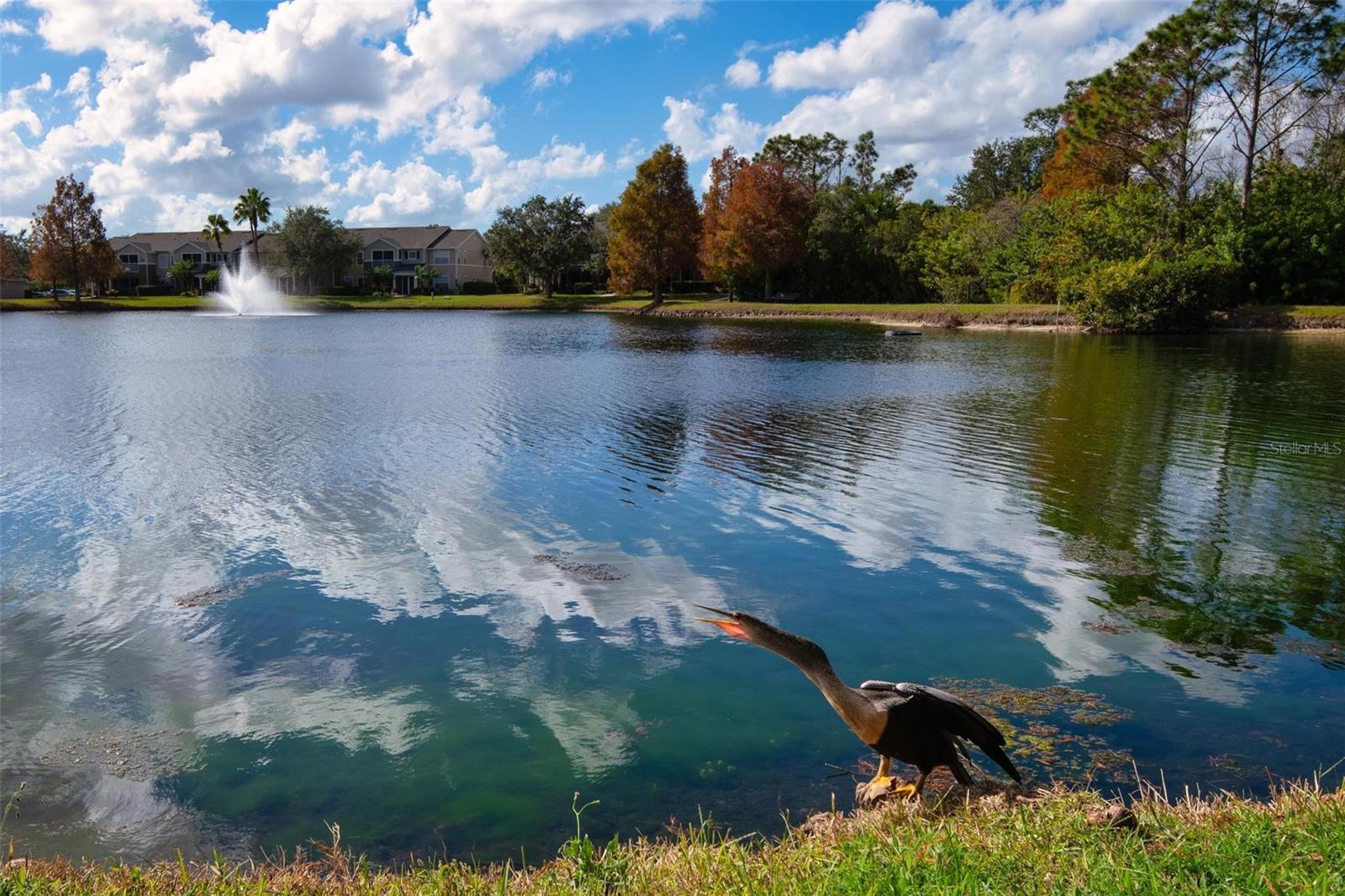 8933 MANOR LOOP #102