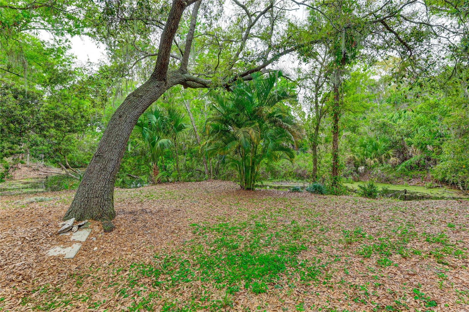 4395 RAYFIELD DR #C-3111