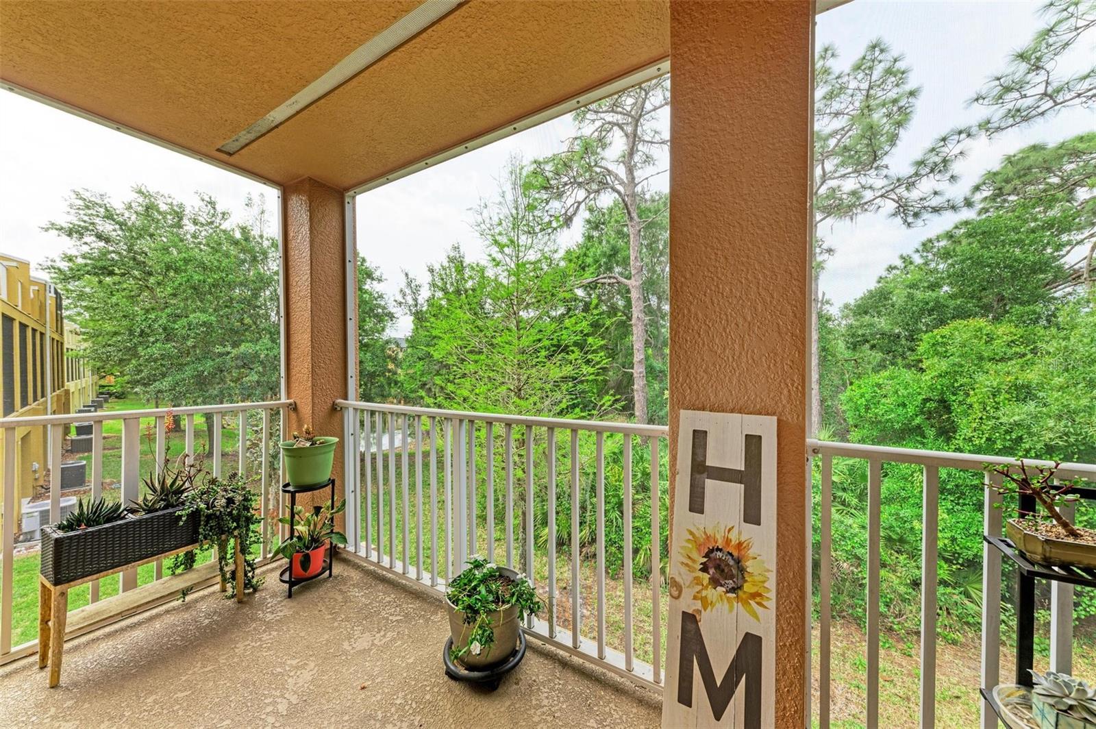 7344 BLACK WALNUT WAY #4601