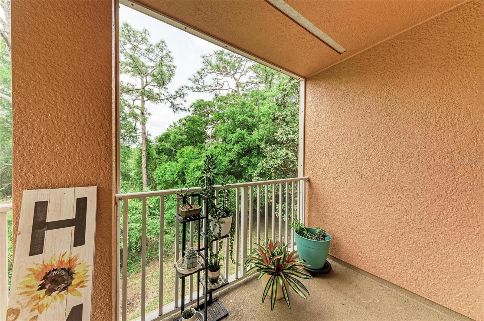 7344 BLACK WALNUT WAY #4601