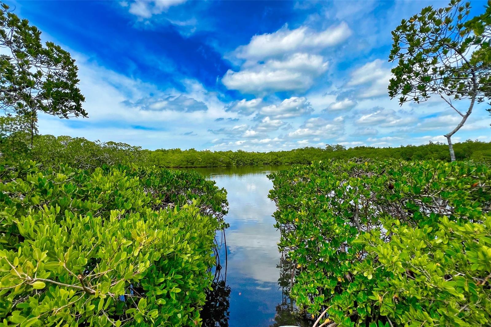 1460 LANDINGS CIR #51