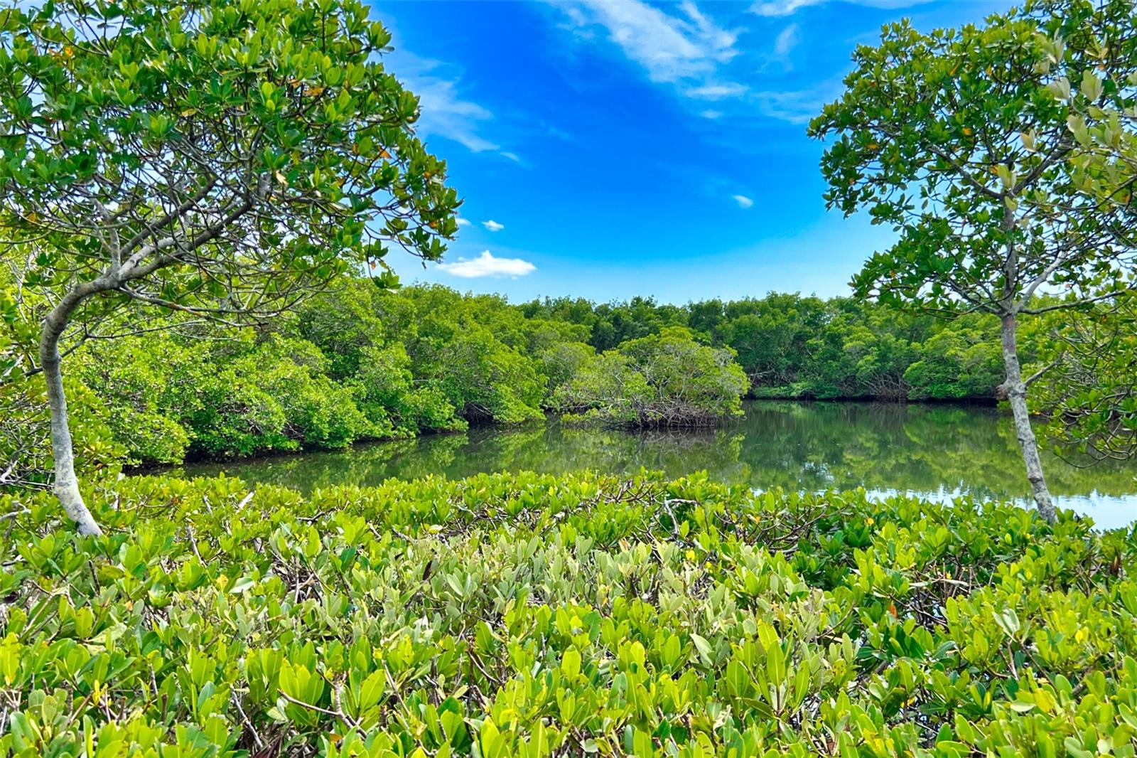 1460 LANDINGS CIR #51