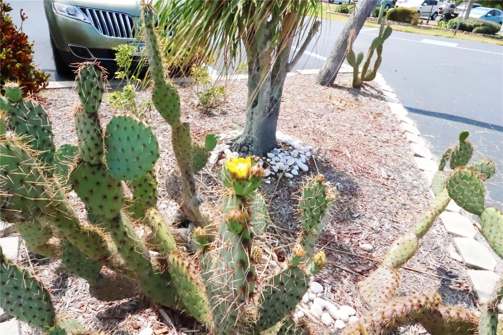 4139 LAKE BAYSHORE DR #506