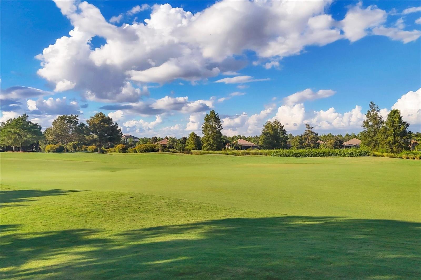 14619 LEOPARD CREEK PL