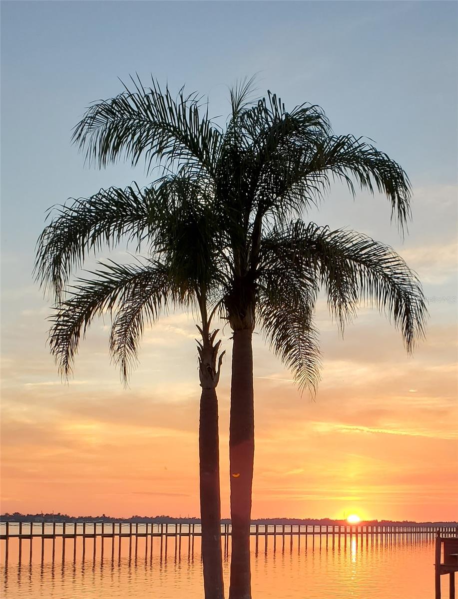 2107 PALMA SOLA BLVD #94