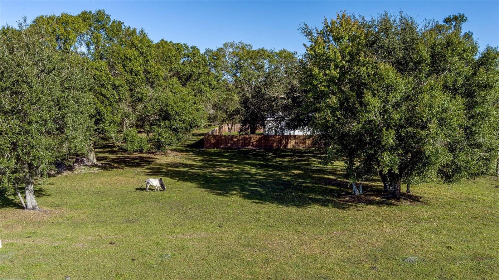 7308 CLOUD NINE RNCH