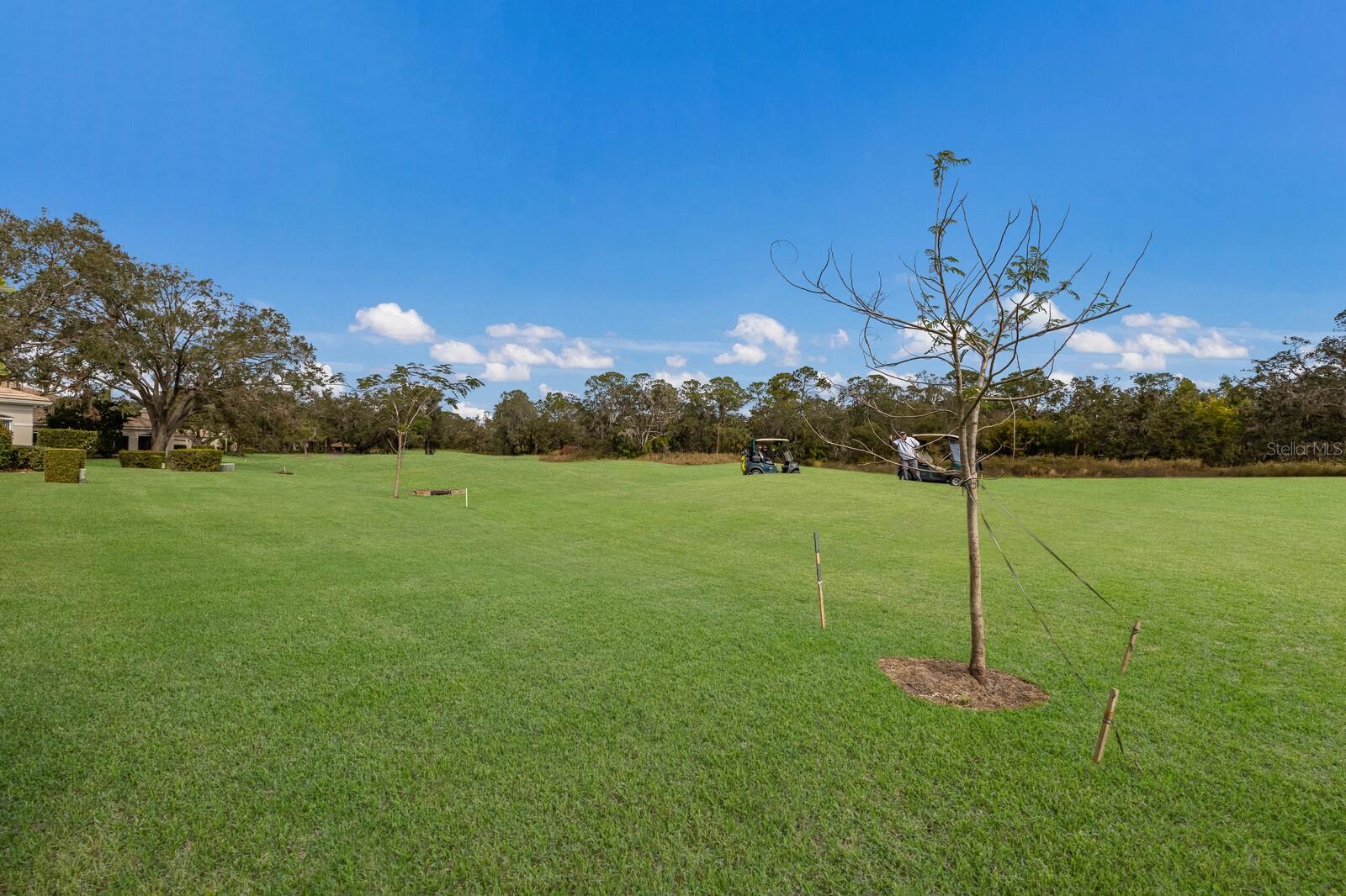 4004 OAKLEY GREENE #37