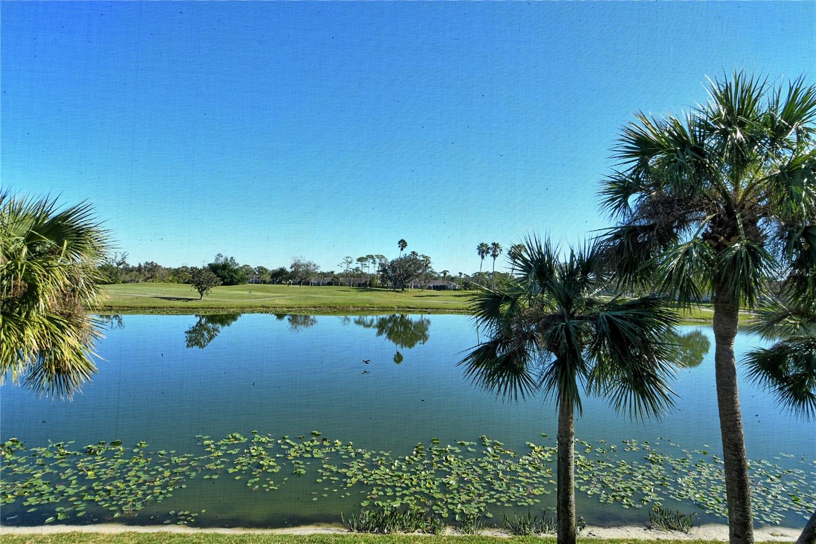 5251 MAHOGANY RUN AVE #524