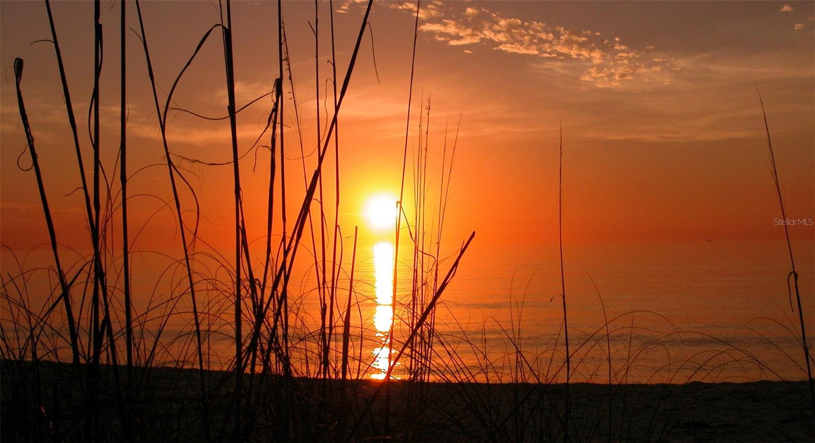 4310 FALMOUTH DR #A104