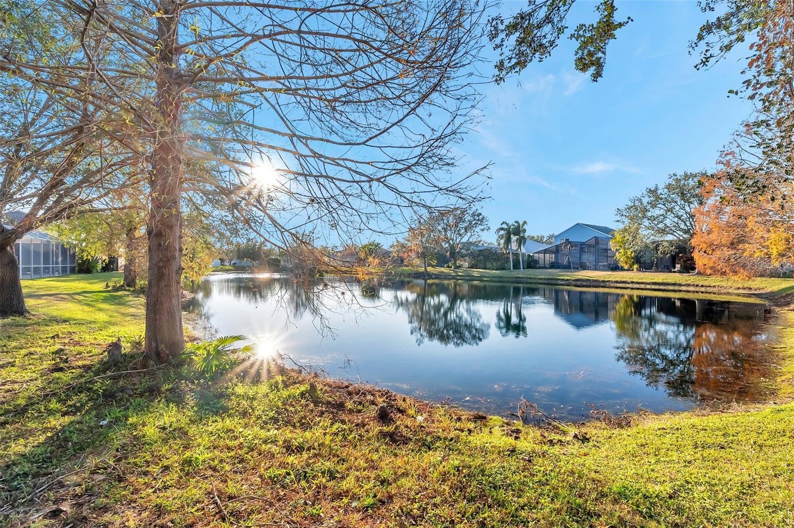 14146 CATTLE EGRET PL