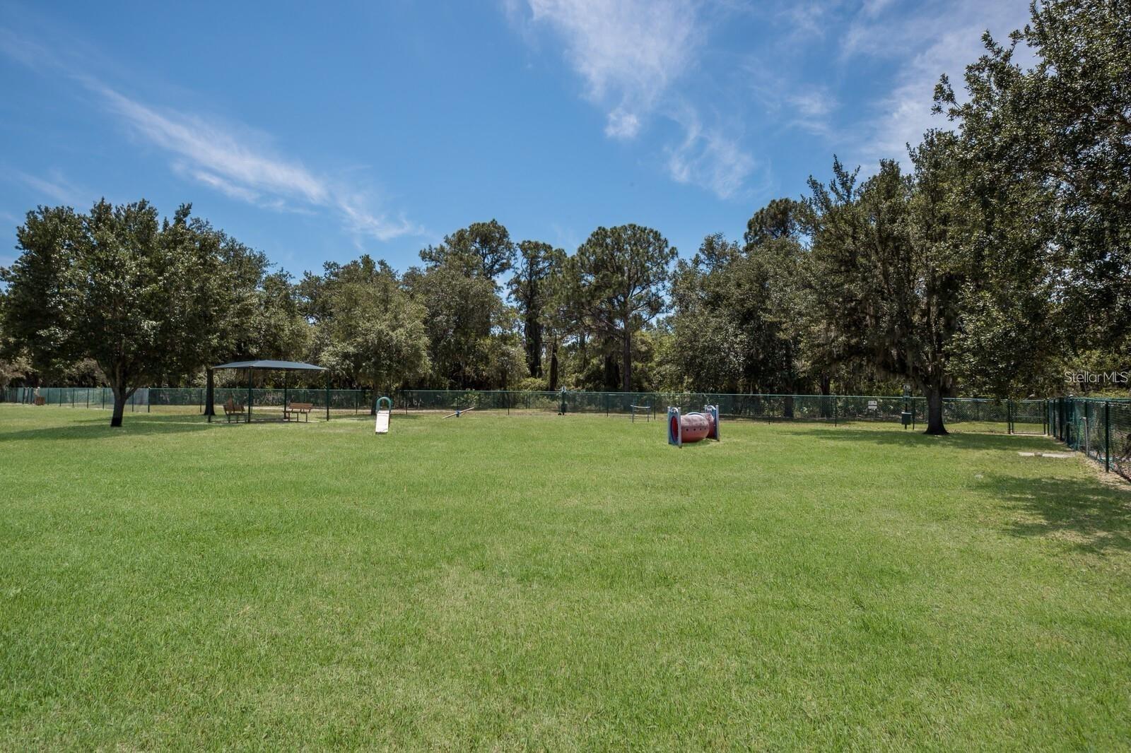 14146 CATTLE EGRET PL