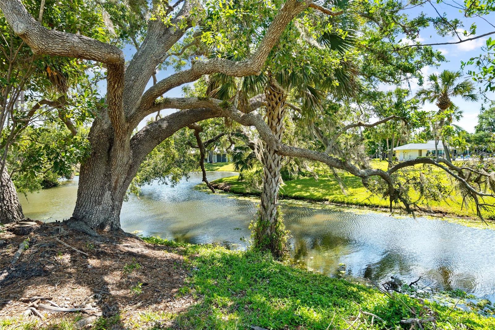 3921 CENTER GATE CIR #11