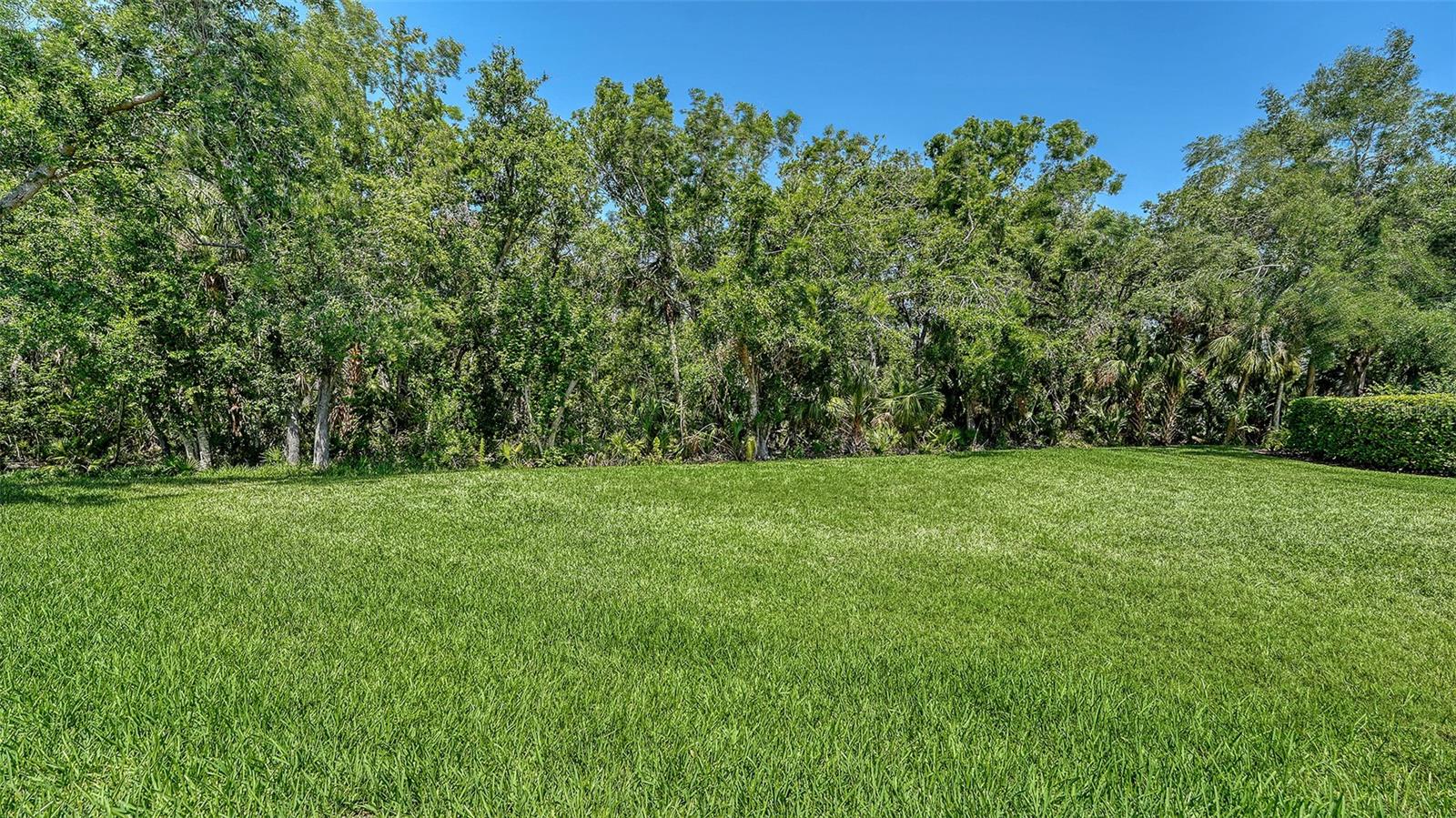 8019 INDIGO RIDGE TER