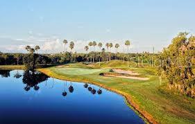 803 FAIRWAYCOVE LN #102