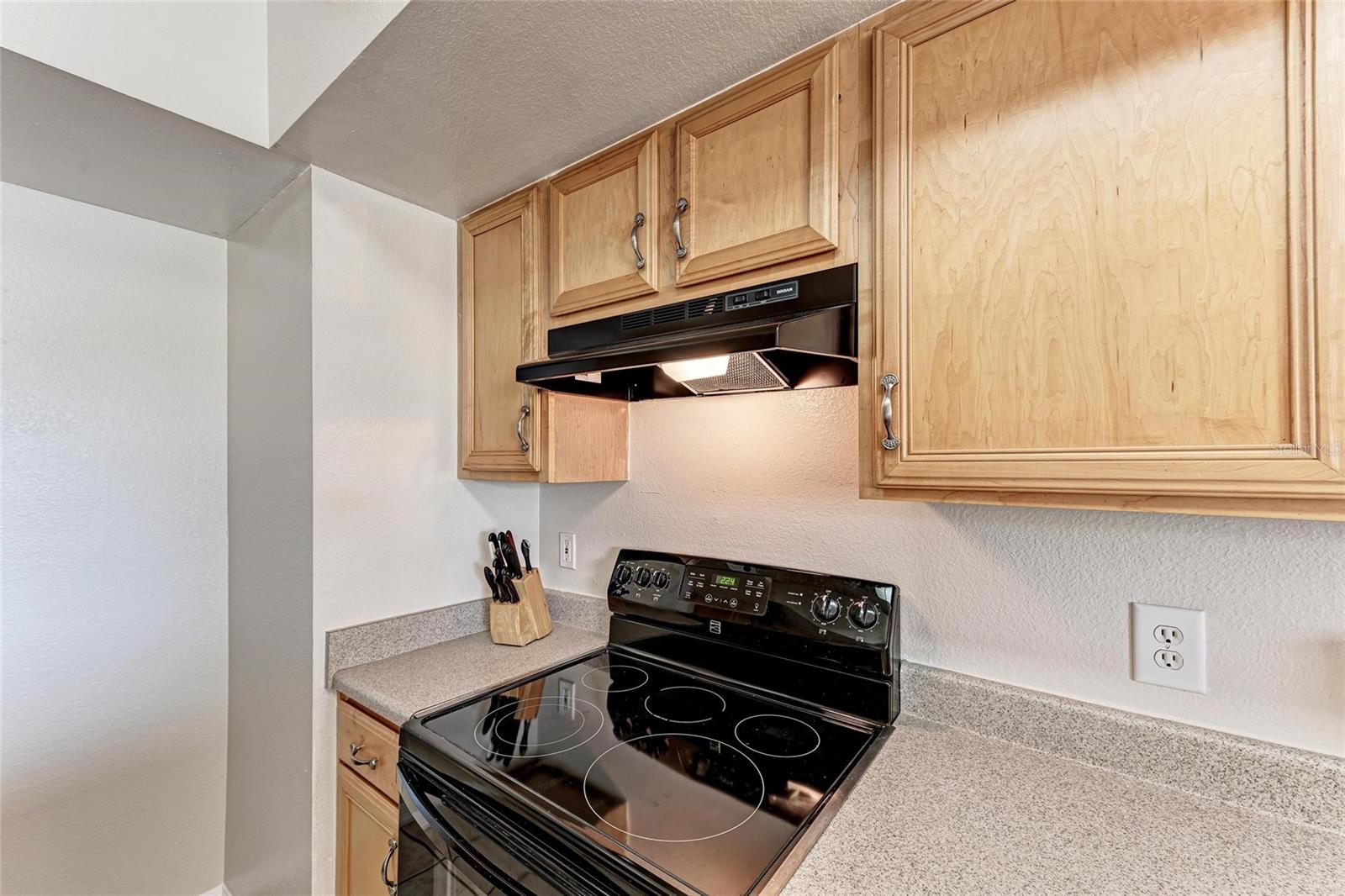 1030 VILLAGIO CIR #103