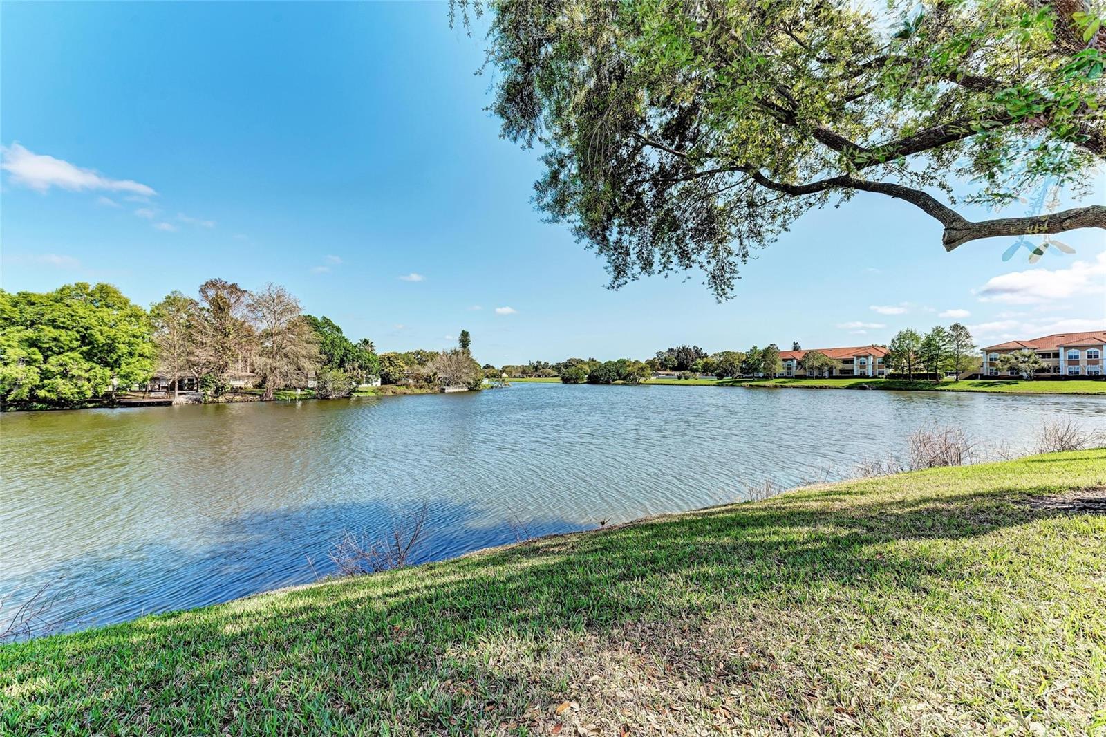 1030 VILLAGIO CIR #103