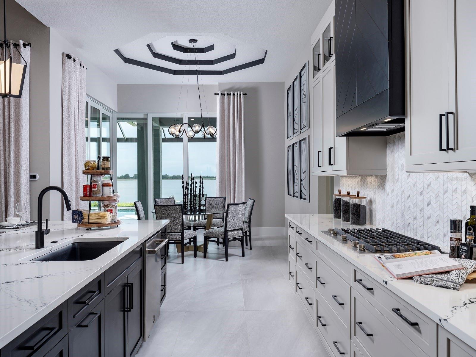 1194 BLUE SHELL LOOP