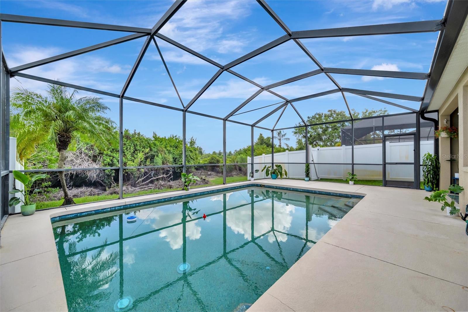 14255 GNATCATCHER TER