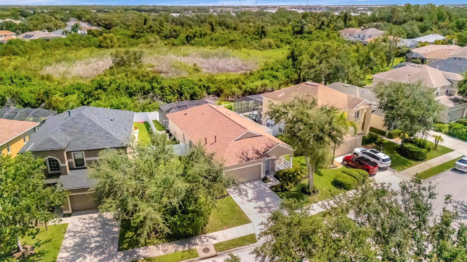 14255 GNATCATCHER TER