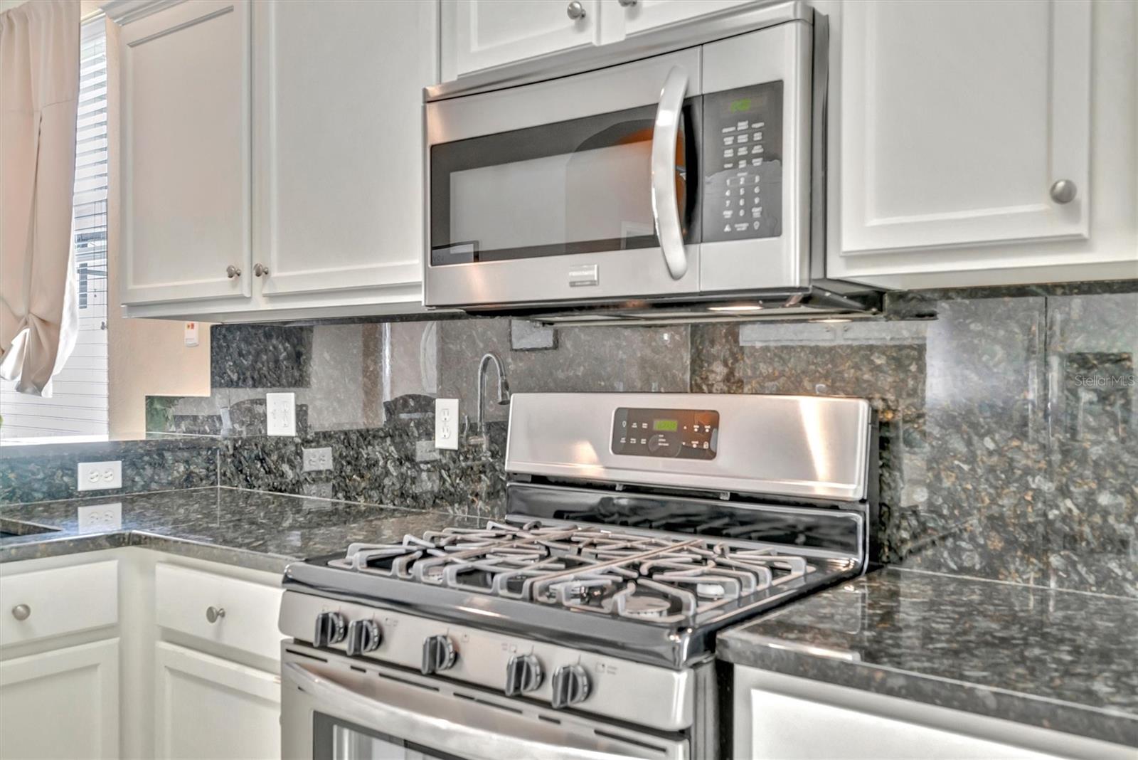 14255 GNATCATCHER TER