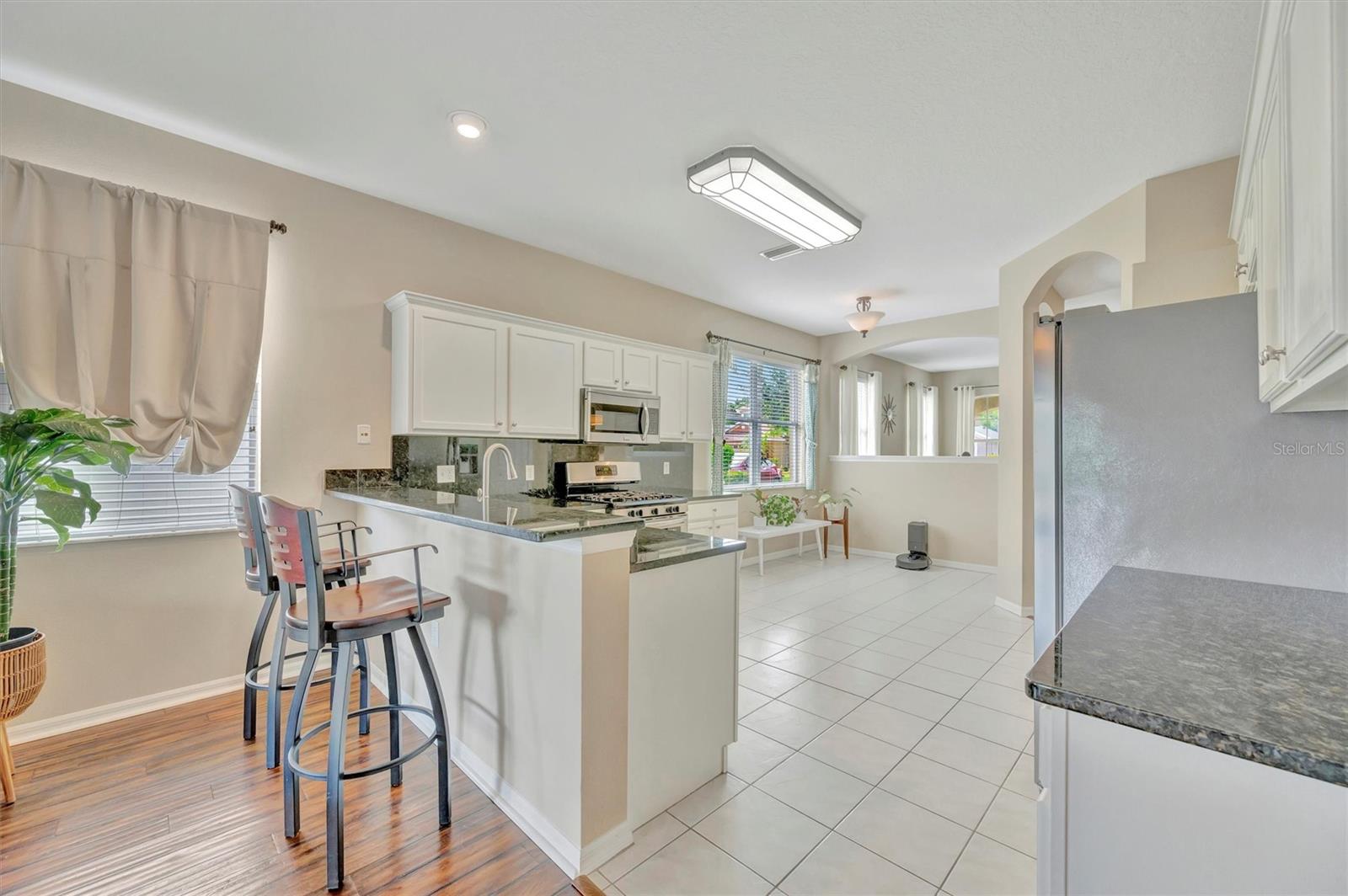 14255 GNATCATCHER TER