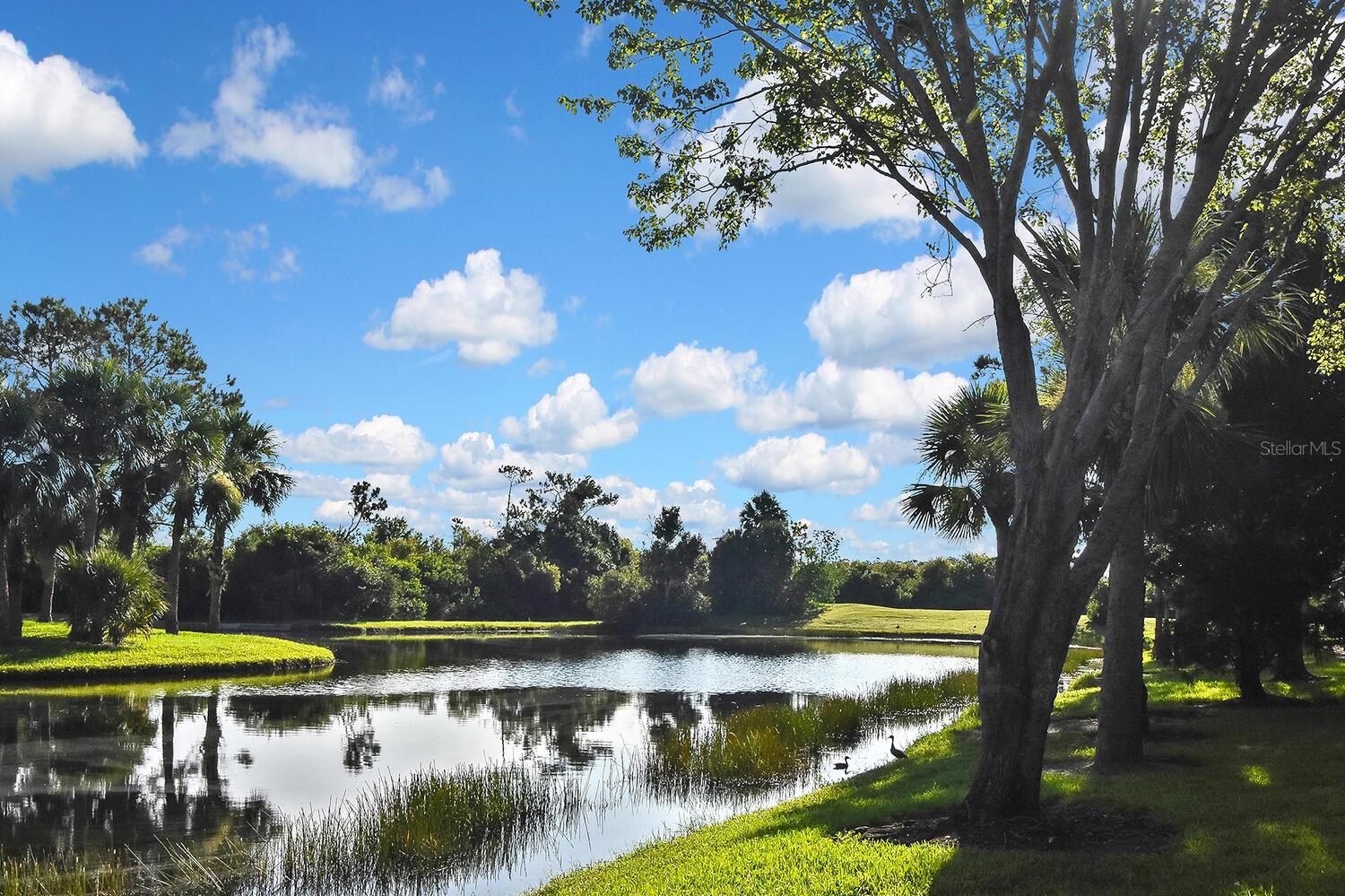 7605 SWEETBAY CIR #5-102