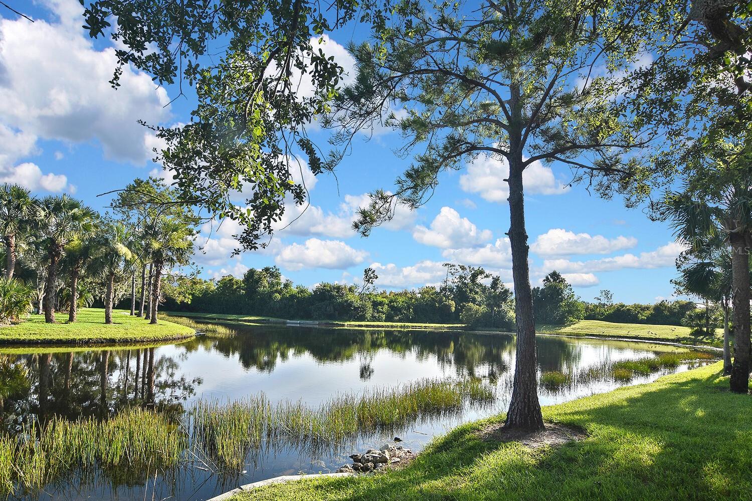 7605 SWEETBAY CIR #5-102