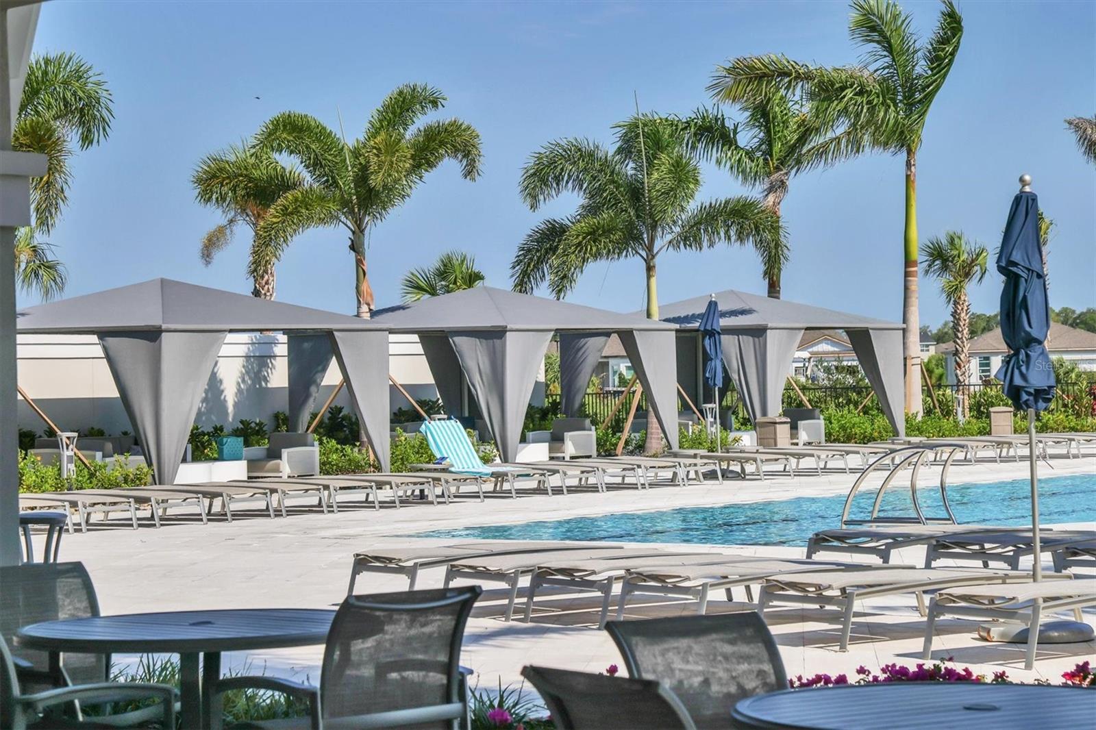 8541 COASTAL PALMS GLN