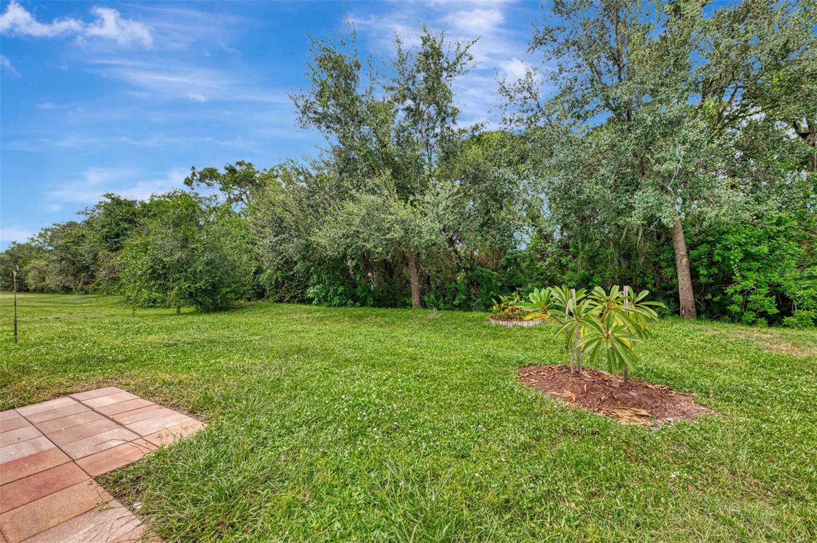 1434 BLUE HORIZON CIR