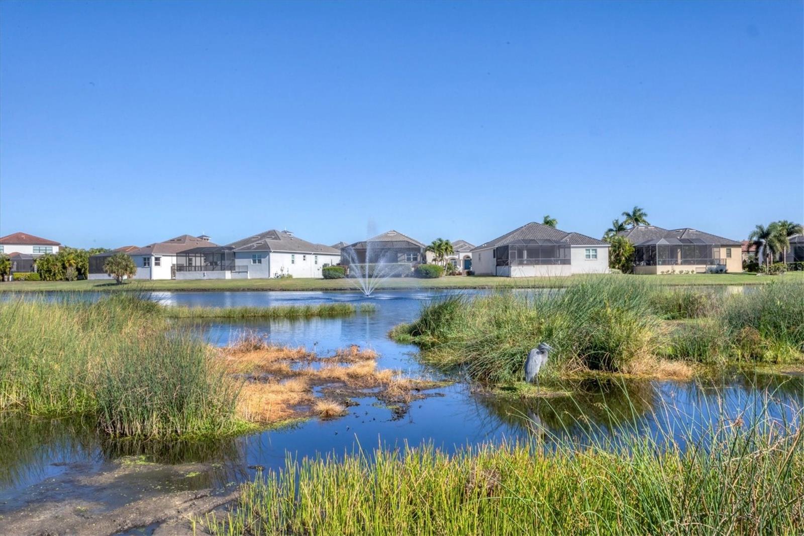 6261 CHAMPIONS ROW ST